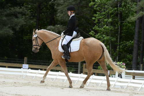 So8ths-5-3-13-Dressage-5575-TaylorPence-Goldie-DDeRosaPhoto