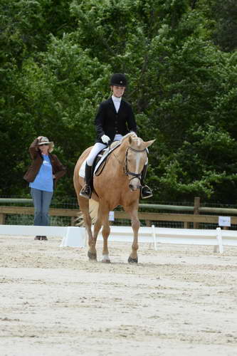 So8ths-5-3-13-Dressage-5581-TaylorPence-Goldie-DDeRosaPhoto