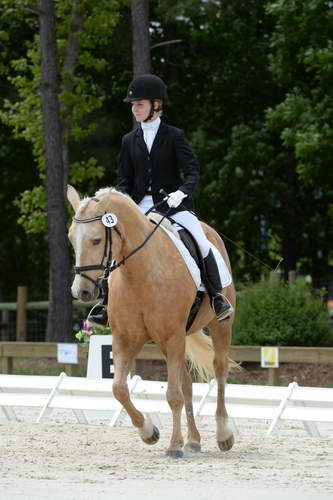 So8ths-5-3-13-Dressage-5605-TaylorPence-Goldie-DDeRosaPhoto
