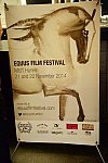 EquusFilmFestival-11-21-22-14-6613-DDeRosaPhoto