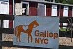 GallopNYC Sunrise-Farm-06-26-22-1199-DDeRosaPhoto