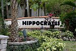 Hippocrates-1-15-17-7151-DDeRosaPhoto