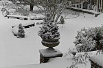 31 Fort Hill-12-17-2020-Snowstorm--0159-DDeRosaPhoto