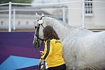 Olympics-EVJg-7-27-12-0666-SamanthaAlbert-CarraigDubh-JAM-DDeRosaPhoto