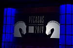 Pegasus Awards
