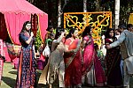 Vivuchi Wedding-11-22-23-2016-9057-DDeRosaPhoto