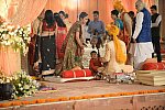 Vivuchi Wedding-11-22-23-2016-9872-DDeRosaPhoto