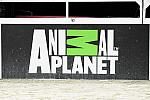 AnimalPlanet-10-24-10-DSC_0554-Sponsor-DDeRosaPhoto.jpg
