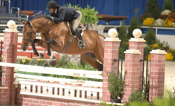 029-Theory-LouiseSerio-WIHS-10-24-06-&copy;DeRosaPhoto.jpg