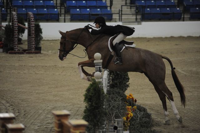 2241-Alakazam-EdieCaldwell-LegacyCup-NonPro3'6Finals-5-17-08-DeRosaPhoto