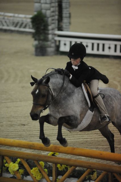 2103-ChamplainClementine-ChloeJohnson-LegacyCup-PonyFinals-5-17-08-DeRosaPhoto.jpg
