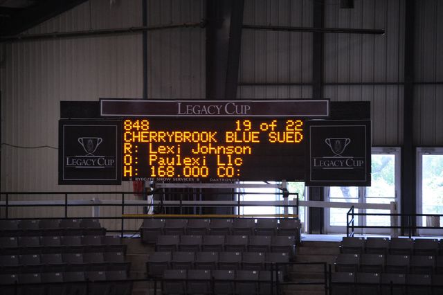 863-CherrybrookBlueSuedeShoe-LexiJohnson-LegacyCup-PonyHunterGoRound-5-10-08-DeRosaPhoto.jpg