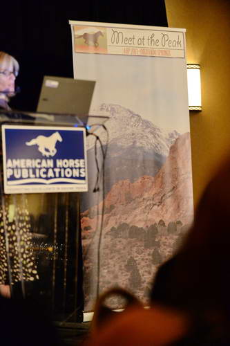 AHP-6-22-13-9445-DDeRosaPhoto