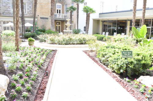 AHP-Texas-10-17-13-6291-DDeRosaPhoto