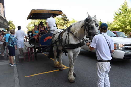 AHP-Charleston-6-20-14-0836-DDeRosaPhoto