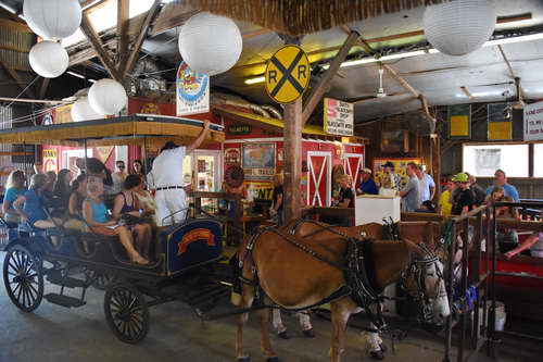 AHP-Charleston-6-20-14-0867-DDeRosaPhoto