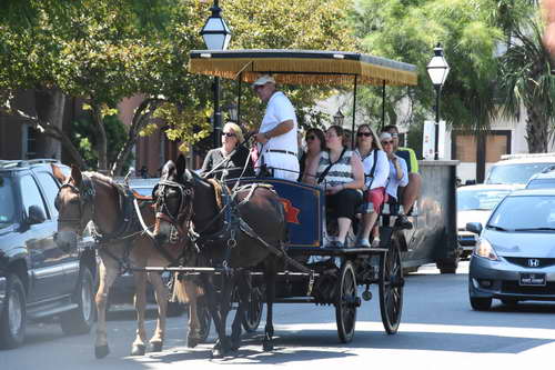 AHP-Charleston-6-20-14-0880-DDeRosaPhoto