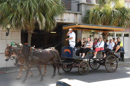 AHP-Charleston-6-20-14-0881-DDeRosaPhoto