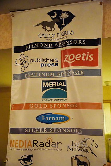 AHP-Charleston-6-20-14-0974-DDeRosaPhoto