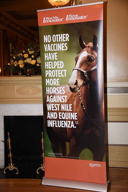 AHP-Charleston-6-20-14-1050-DDeRosaPhoto