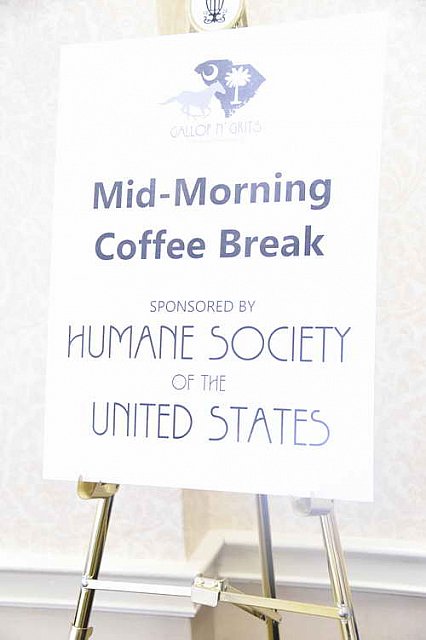 AHP-Charleston-6-21-14-1328-DDeRosaPhoto