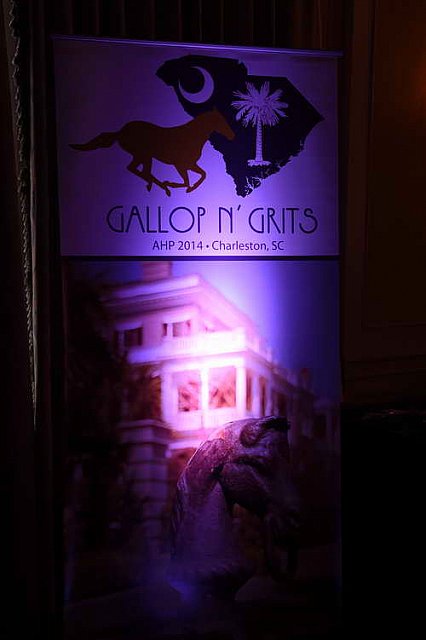 AHP-Charleston-6-21-14-1554-DDeRosaPhoto