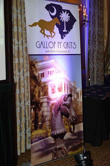 AHP-Charleston-6-21-14-1555-DDeRosaPhoto