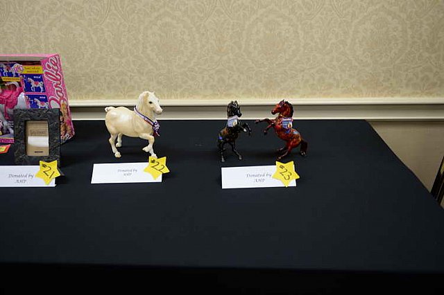 AHP2-Charleston-6-20-14-0758-DDeRosaPhoto