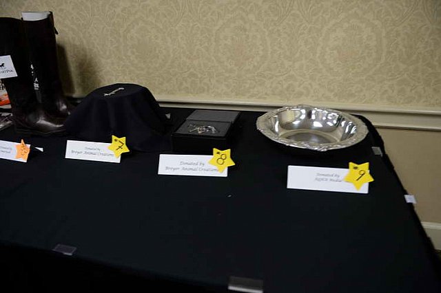 AHP2-Charleston-6-20-14-0770-DDeRosaPhoto