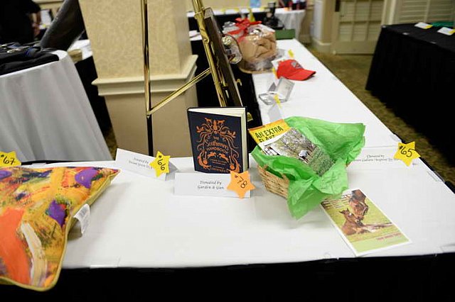 AHP2-Charleston-6-20-14-0782-DDeRosaPhoto