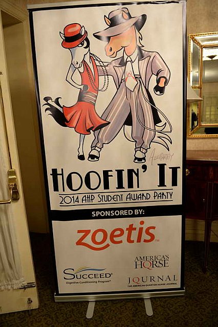 AHP2-Charleston-6-20-14-0801-DDeRosaPhoto