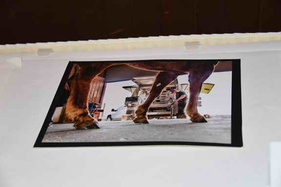 AHP-MD-6-14-16-18-1380-DDeRosaPhoto