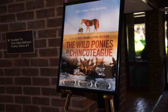 AHP-MD-6-14-16-18-1119-DDeRosaPhoto