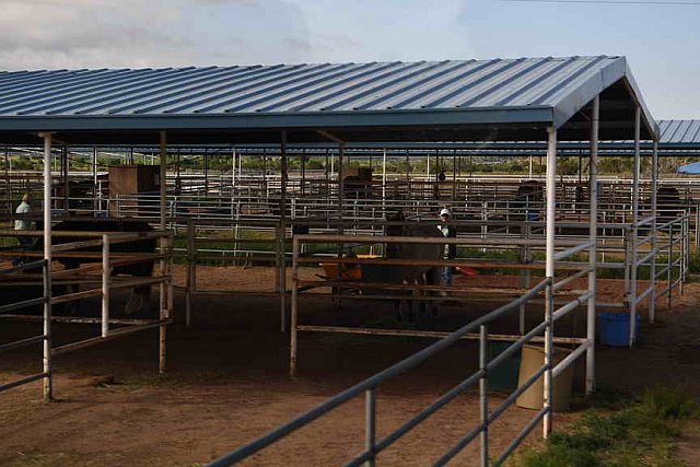 AHP-5-29-19-8262-DDeRosaPhoto