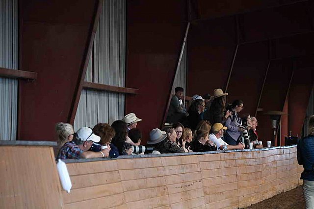 AHP-5-29-19-8323-DDeRosaPhoto