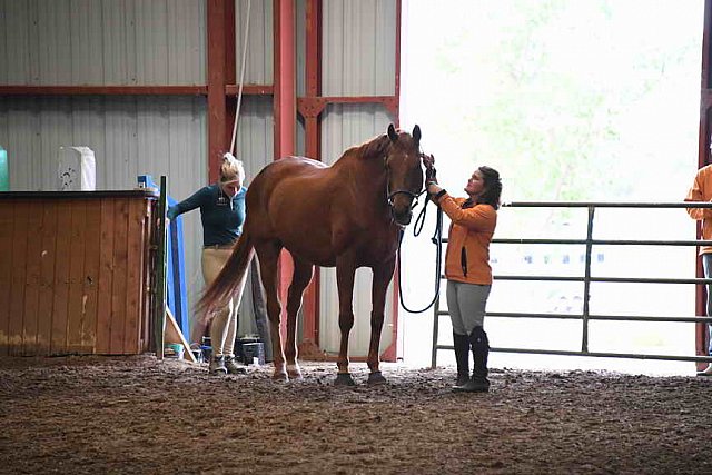 AHP-5-29-19-8351-DDeRosaPhoto