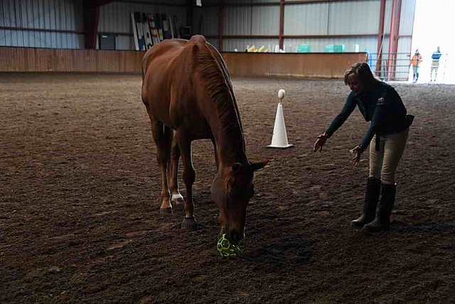 AHP-5-29-19-8369-DDeRosaPhoto