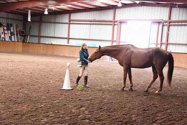 AHP-5-29-19-8371-DDeRosaPhoto