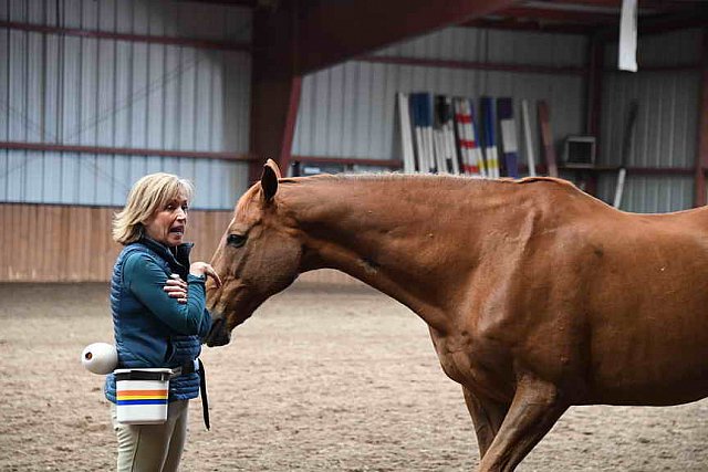 AHP-5-29-19-8373-DDeRosaPhoto