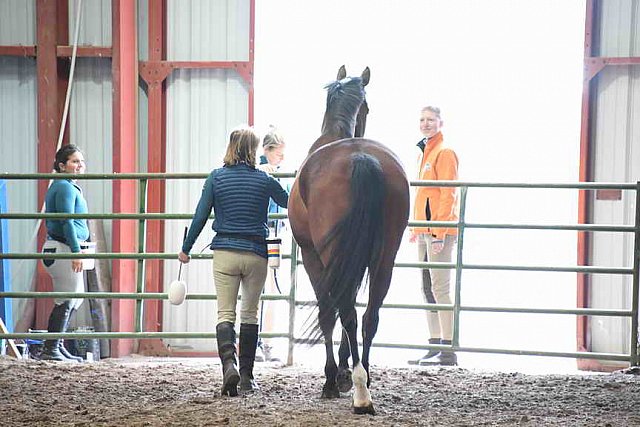 AHP-5-29-19-8381-DDeRosaPhoto