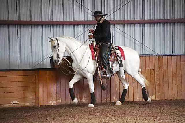 AHP-5-29-19-8421-DDeRosaPhoto