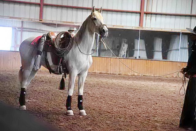 AHP-5-29-19-8462-DDeRosaPhoto