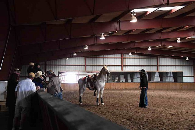 AHP-5-29-19-8464-DDeRosaPhoto