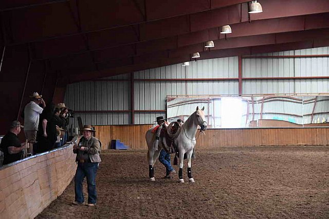 AHP-5-29-19-8466-DDeRosaPhoto