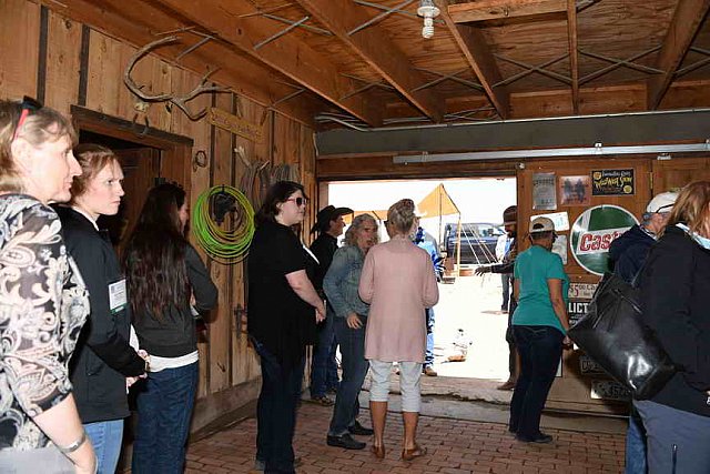 AHP-5-29-19-8519-DDeRosaPhoto