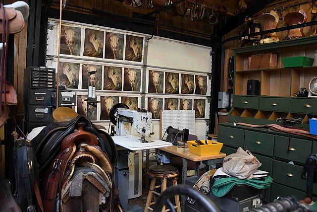 AHP-5-29-19-8603-DDeRosaPhoto