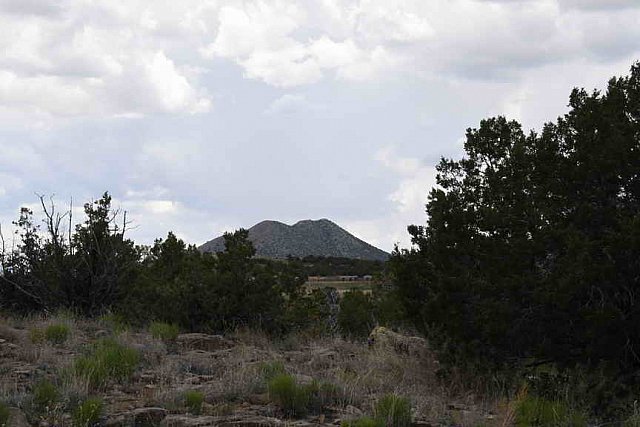 AHP-5-29-19-8618-DDeRosaPhoto