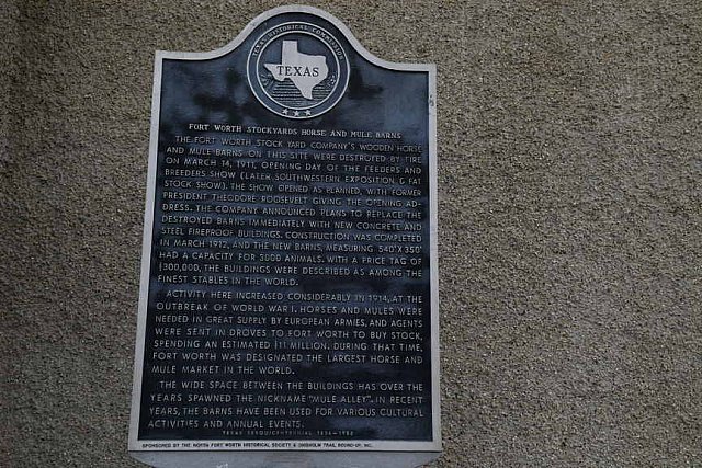 AHP-09-16-17-2021-2759-DDeRosaPhoto