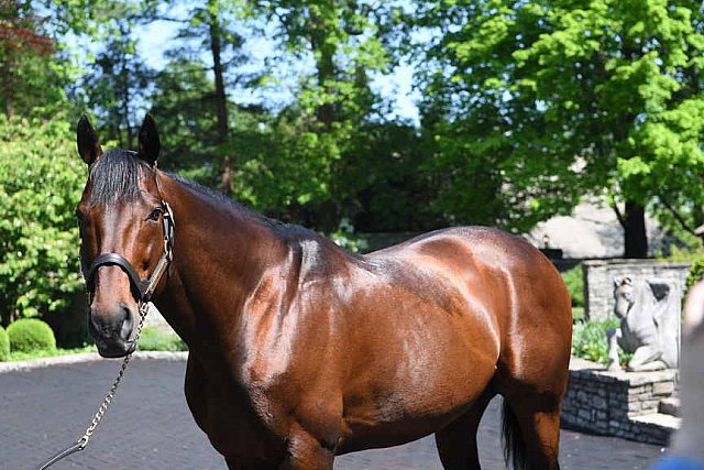 AHP-TOUR-5-12-22-8574-DDeRosaPhoto