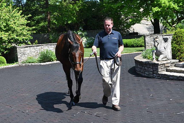 AHP-TOUR-5-12-22-8581-DDeRosaPhoto